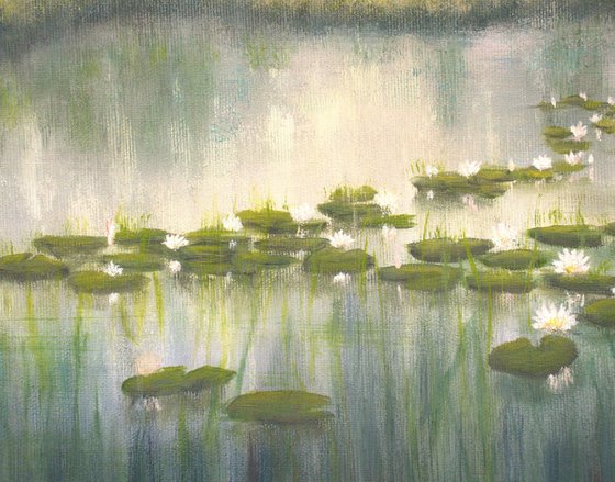 Lily pond