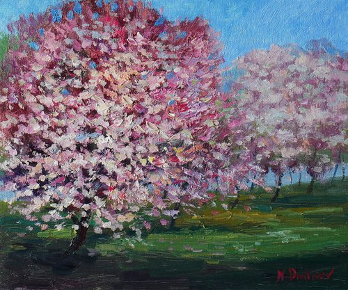 Blooming Cherry - original sunny landscape, painting by Nikolay Dmitriev