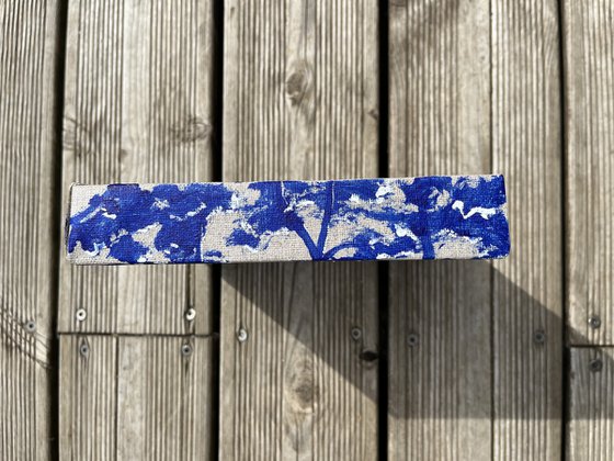 Cap Coz ultramarine 3D