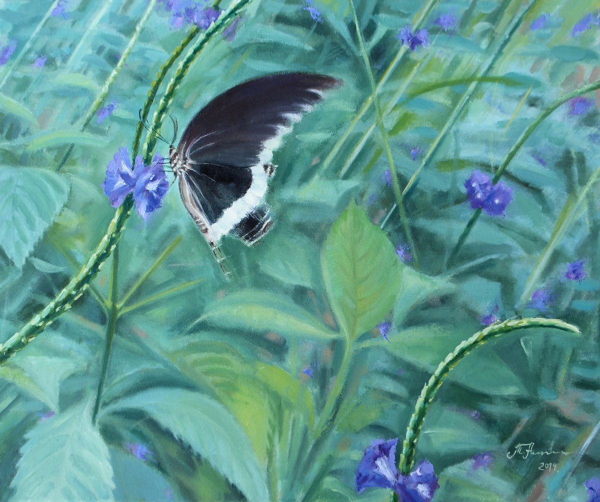 Black Butterfly by Tatiana Alekseeva