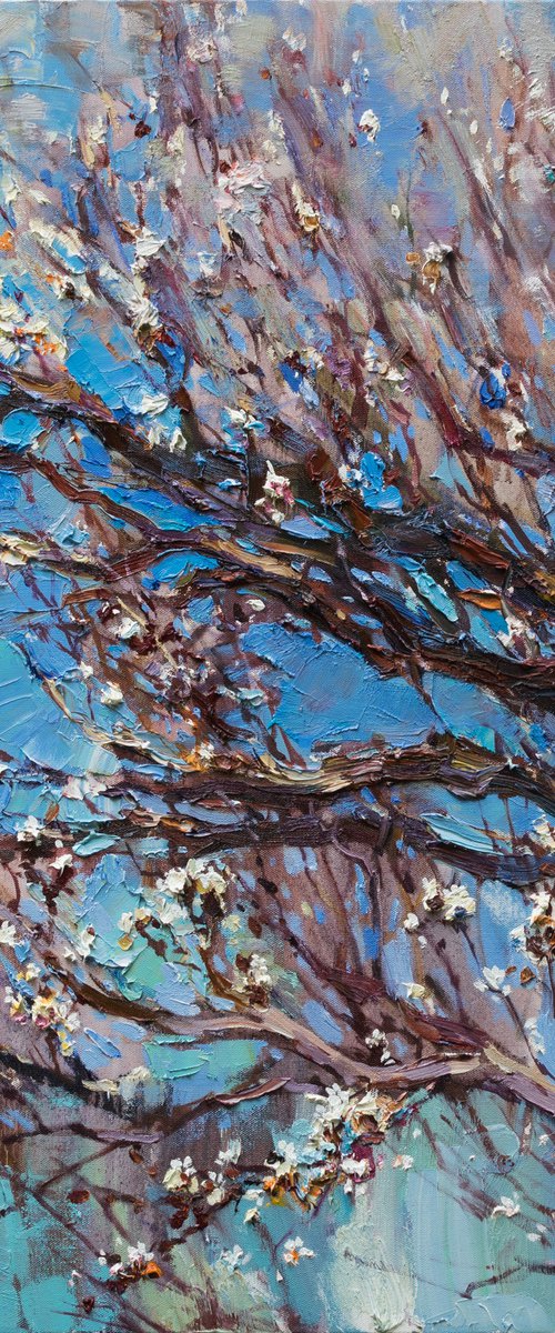 Flowering apricot tree - Original oil painting by Anastasiia Valiulina