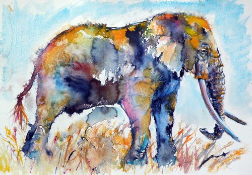 Colorful elephant II by Kovács Anna Brigitta