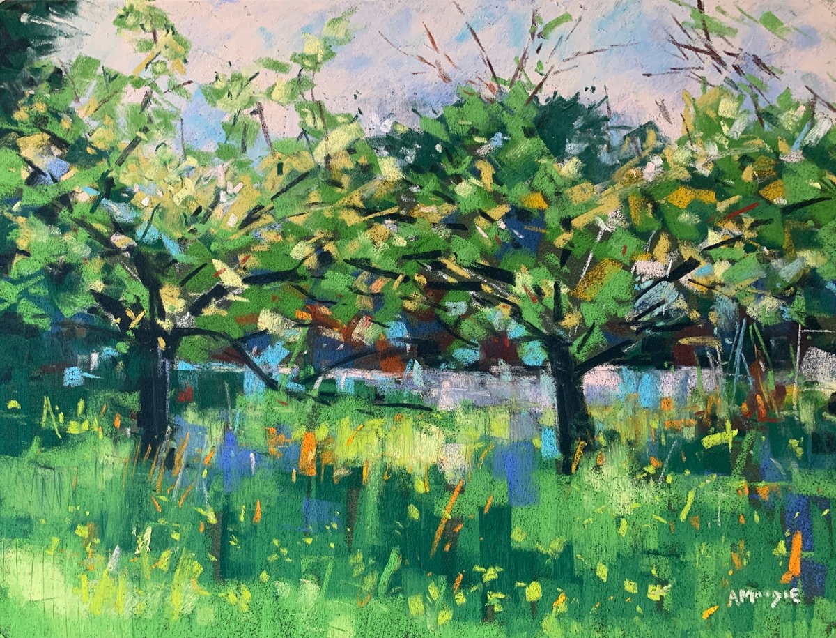 Orchard Colours by Andrew Moodie