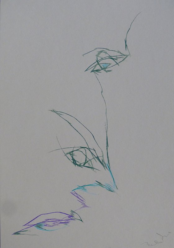 The electric face 5