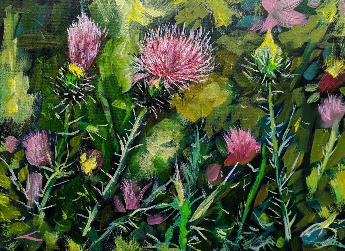 Impressionistic Botanical Oil Painting By Elena Sokolova, 16 X 12, Thistle, Original Artwork