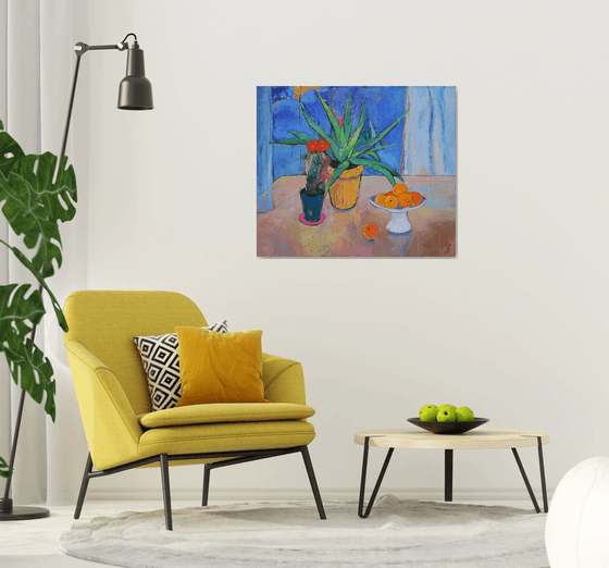 Aloe Vera and cactus