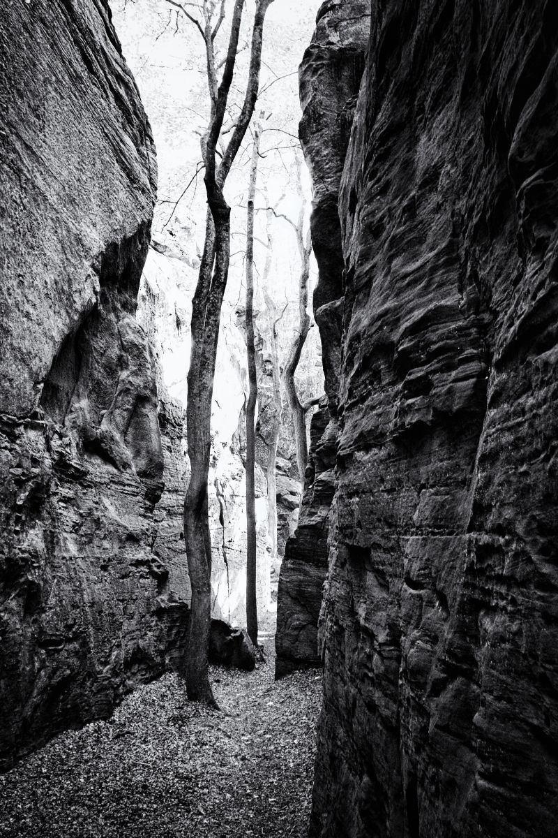 Photorealistic Landscape Photograph By Christian Schwarz, 17 X 24, Le Passage, Original Artwork