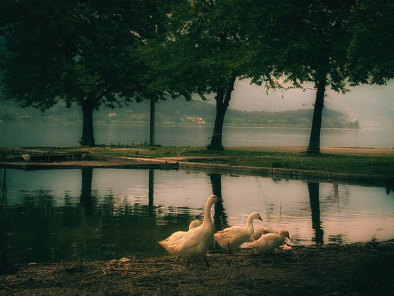 The Lake