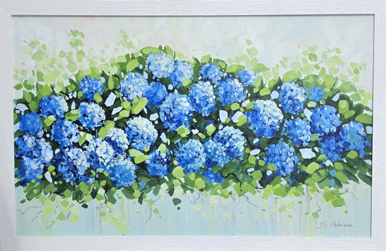 Blue Hydrangea Garden
