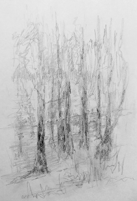 In the park. Sketch. Original pencil drawing on paper
