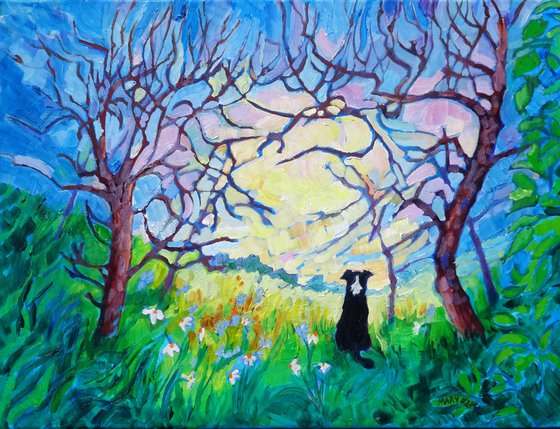 Landscape with Border Collie