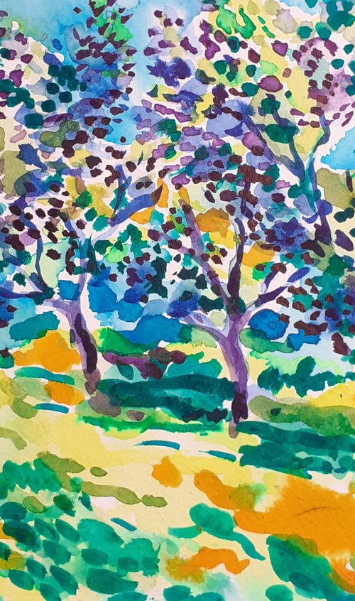 Olive grove No 36 by Maja Grecic