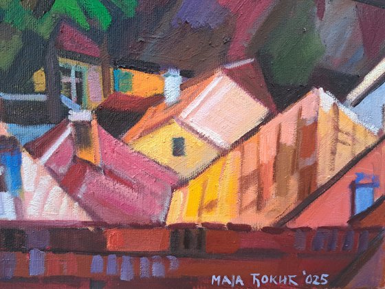 Zemun roofs