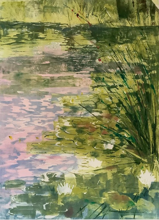Water lilies