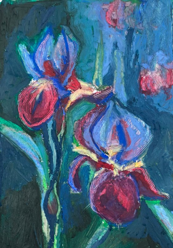 Irises