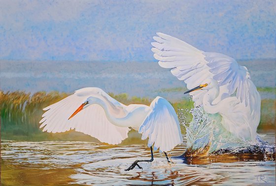 A MATING DANCE OF HERONS
