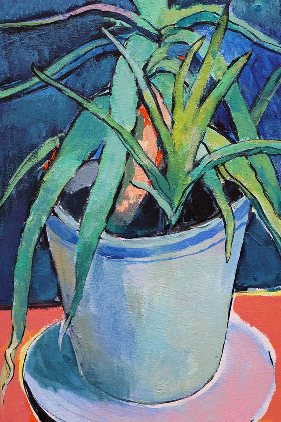 Aloe Vera and Tomato