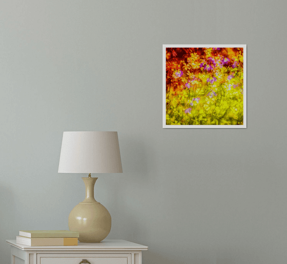 Summer Meadows #3. Limited Edition 1/25 12x12 inch Abstract Photographic Print.