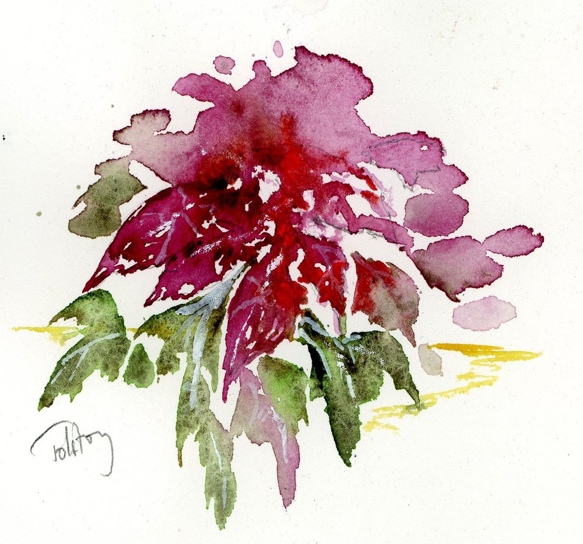 Impressionistic Botanical Watercolour By Alex Tolstoy, 6 X 6, Poinsettia, Original Artwork