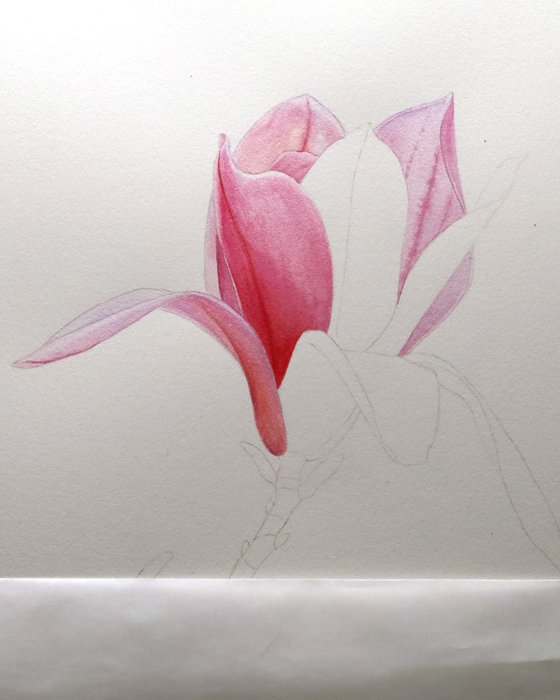 Magnolia Breath
