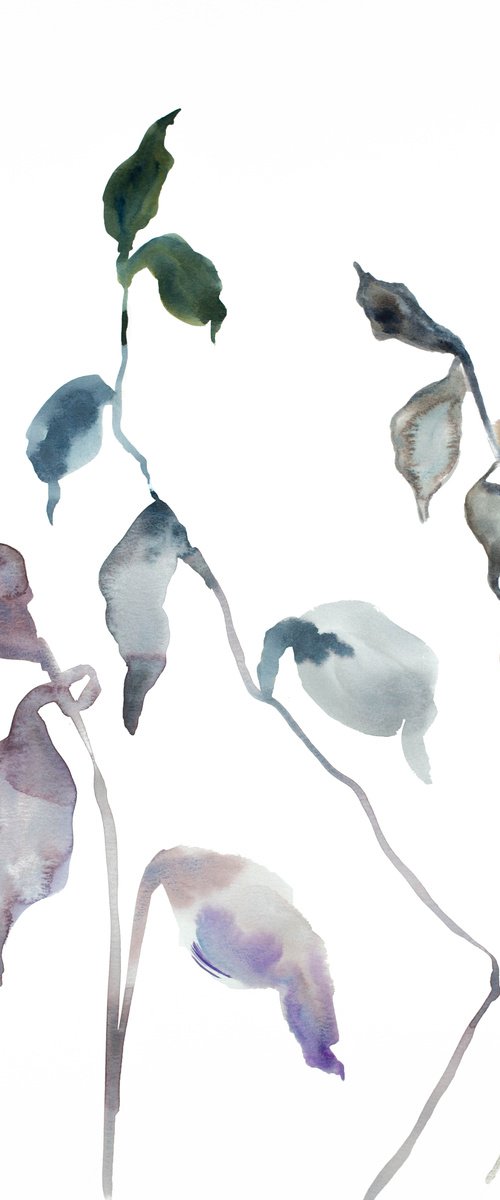 Plant Study No. 56 by Elizabeth Becker