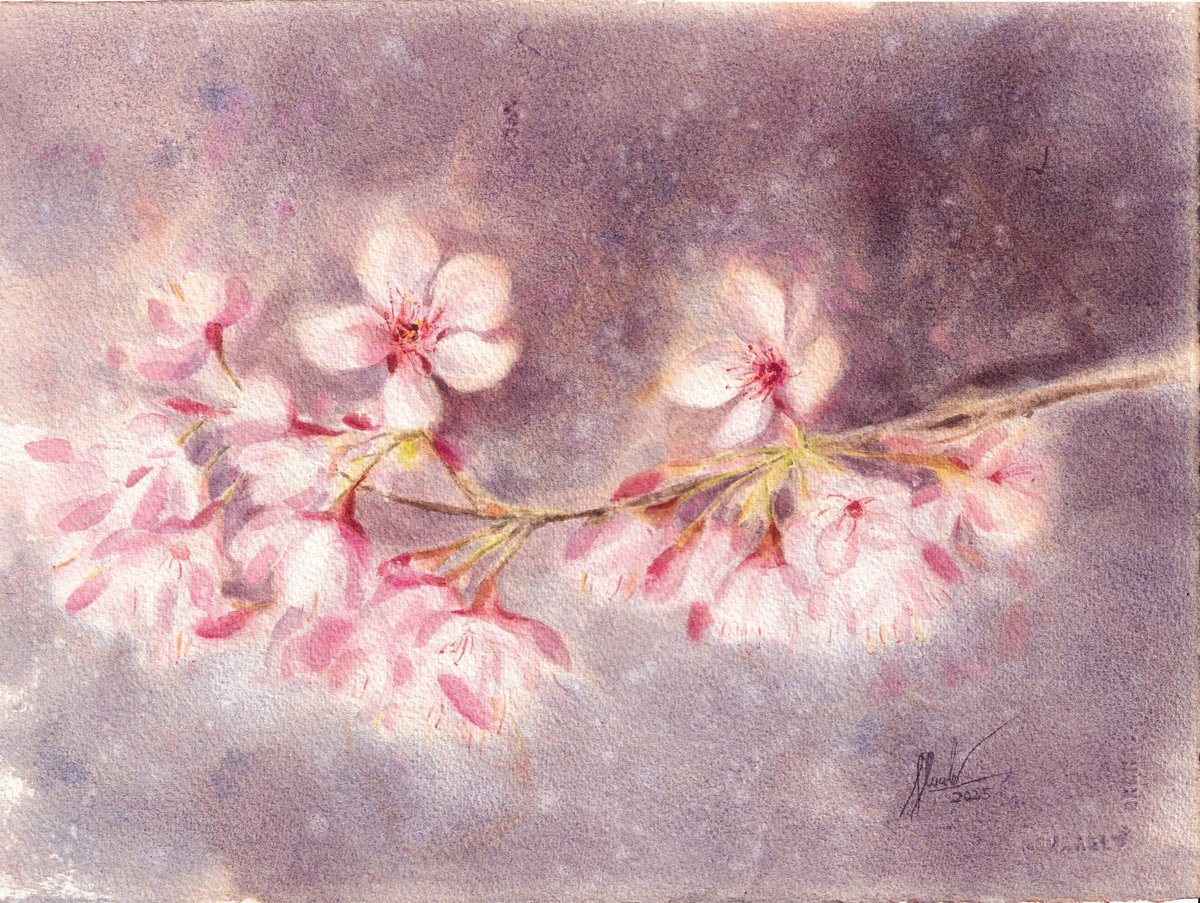 Botanical Watercolour By Hua Le, 15 X 11, Flower Of The Spring, Original Artwork