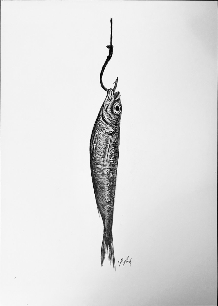 Fish on a hook by Amelia Taylor