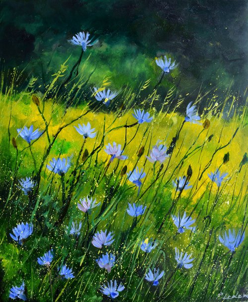 Wild chicory flowers by Pol Henry Ledent