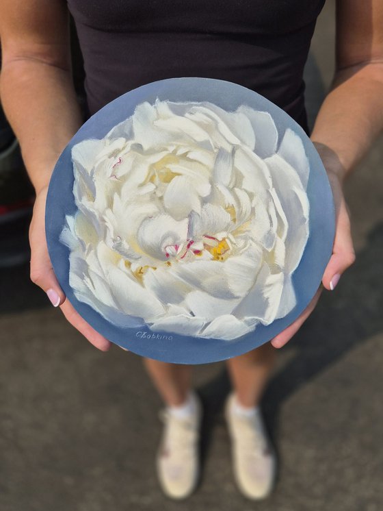 Petals in Bloom