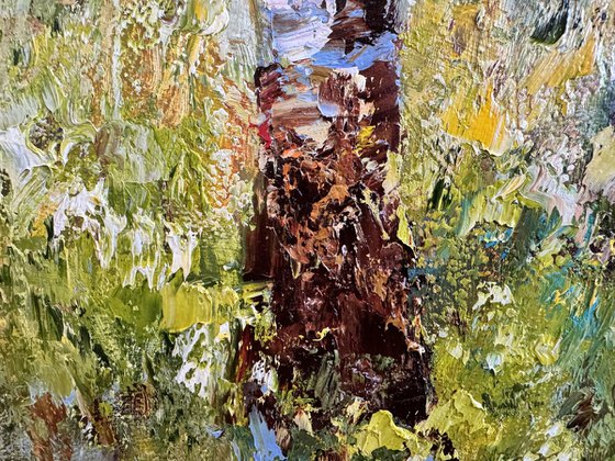 Morning in the Birch Forest