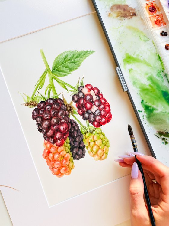 Blackberries original watercolor