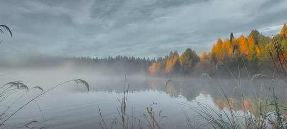 Awakening in Mist