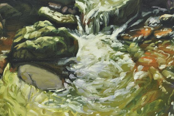 Morning Light On The Sumène