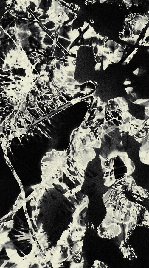 Timeless Shadows 6. by Petr Strnad