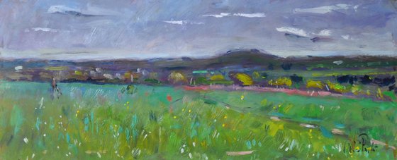 Field at Honeysuckle Lane.