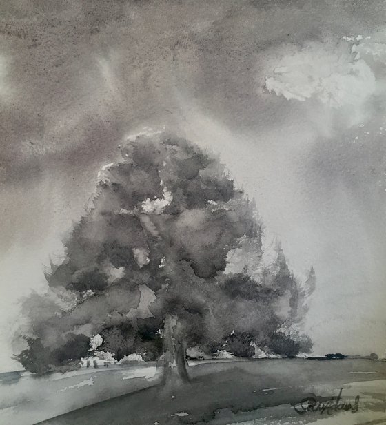 Oak tree in a field near Dorchester