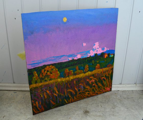 July. Evening landscape