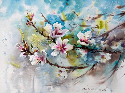 Almond flowers #6 by Eugenia Gorbacheva