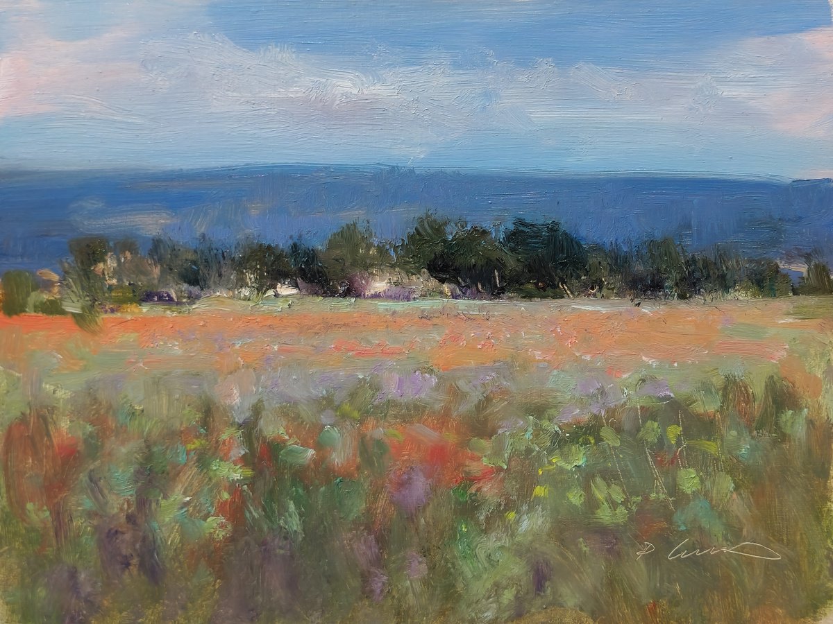 Impressionistic Landscape Oil Painting By Pascal Giroud, 8 X 6", Poppy Field, Original Artwork