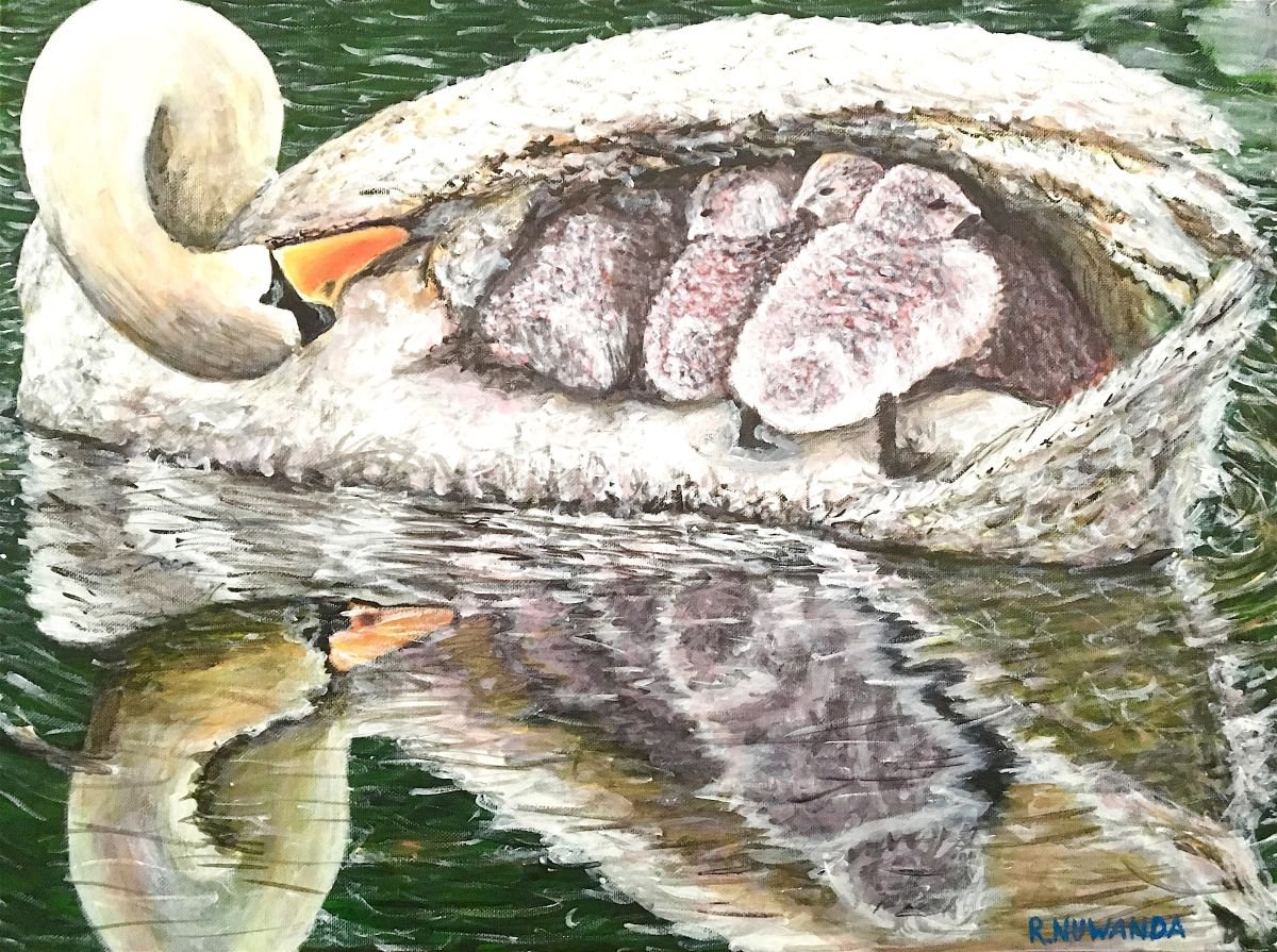 Mothering Swan by Robbie Potter
