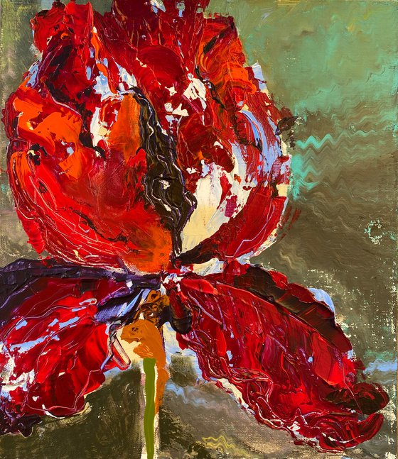 Red iris magic original painting on canvas