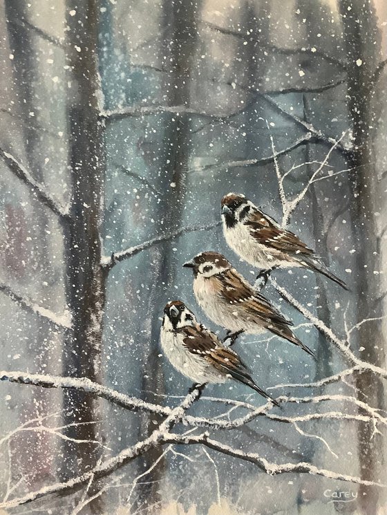 Winter scene, Sparrow’s