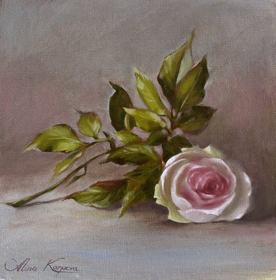 Pink rose