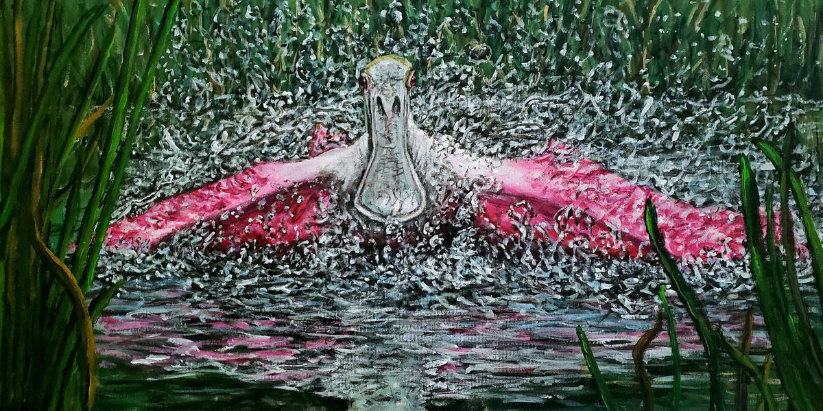Roseate Spoonbill by Robbie Potter