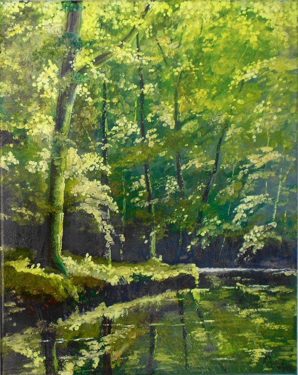 Woodland Reflections 2 by Rod Bere