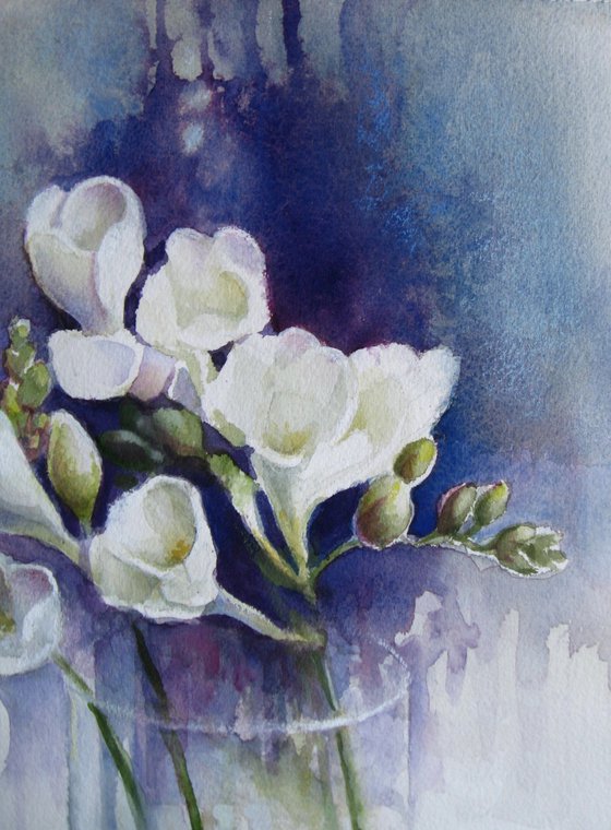 Freesias