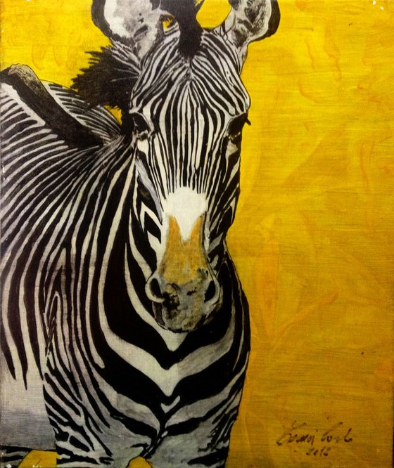 A zebra in yellow- original oil painting - 50 x 60 cm (20' x 24')