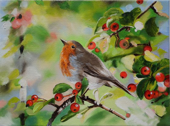 Robin with Red Berries