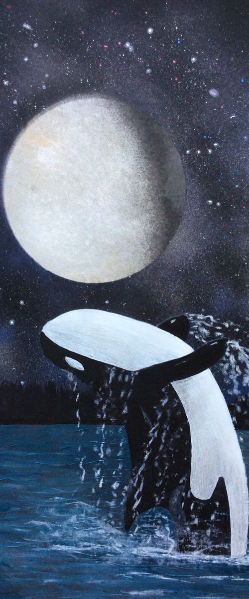 Orca in the moonlight by Ruth Searle