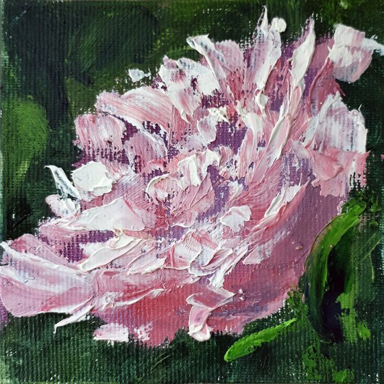 Peony 03... / FROM MY A SERIES OF MINI WORKS / ORIGINAL OIL PAINTING
